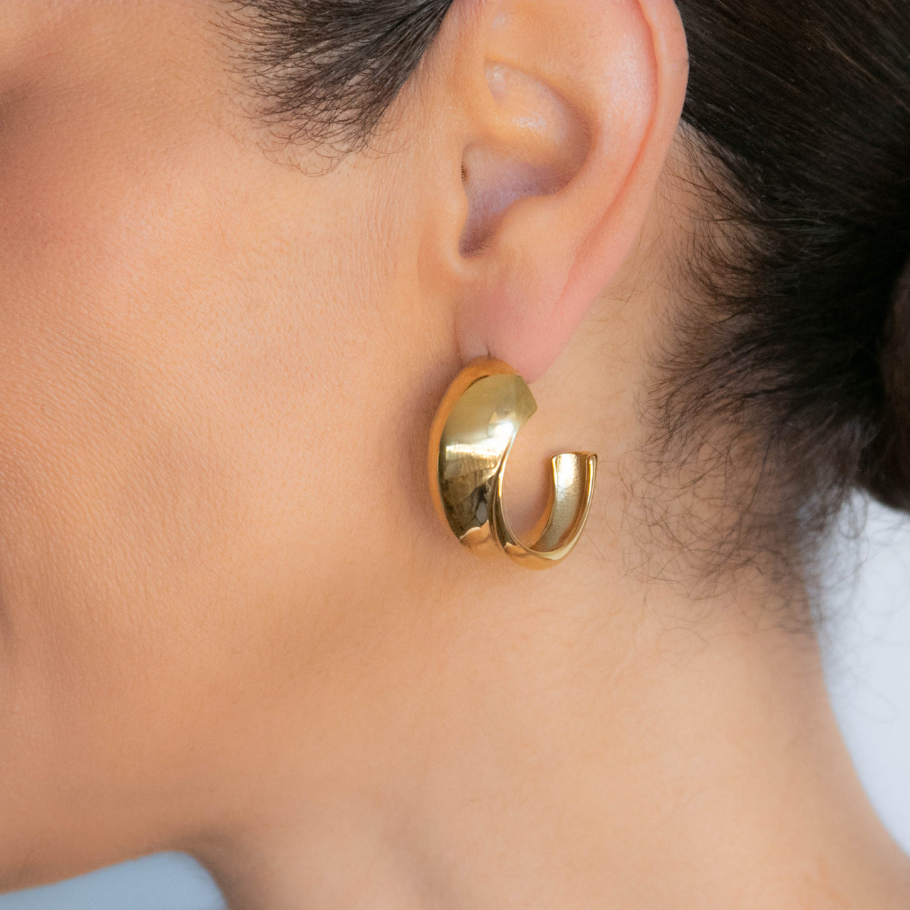 THE BRIAR HOOPS